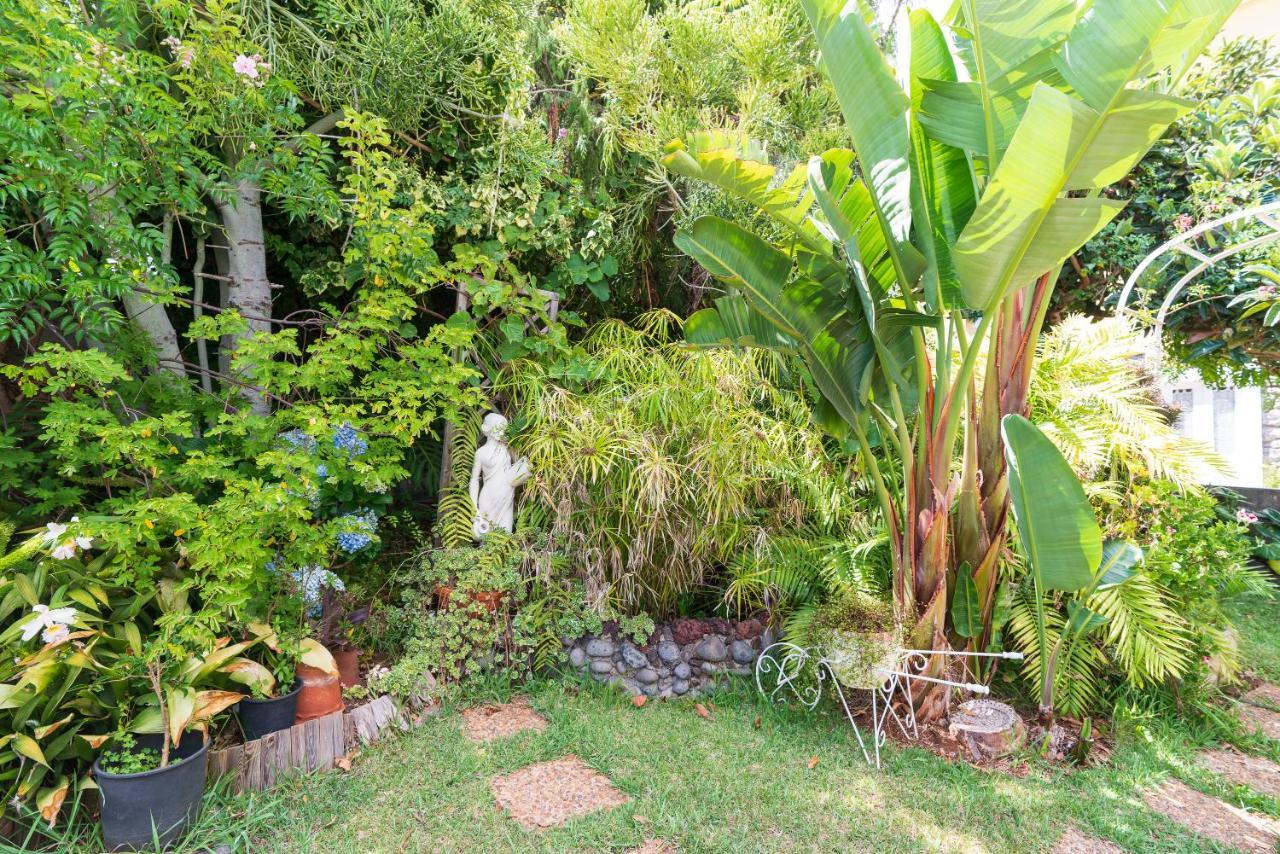 Cyane & Vigo'S Cottage, Caminho Do Massapez, N.º40 Arco da Calheta  Exterior foto